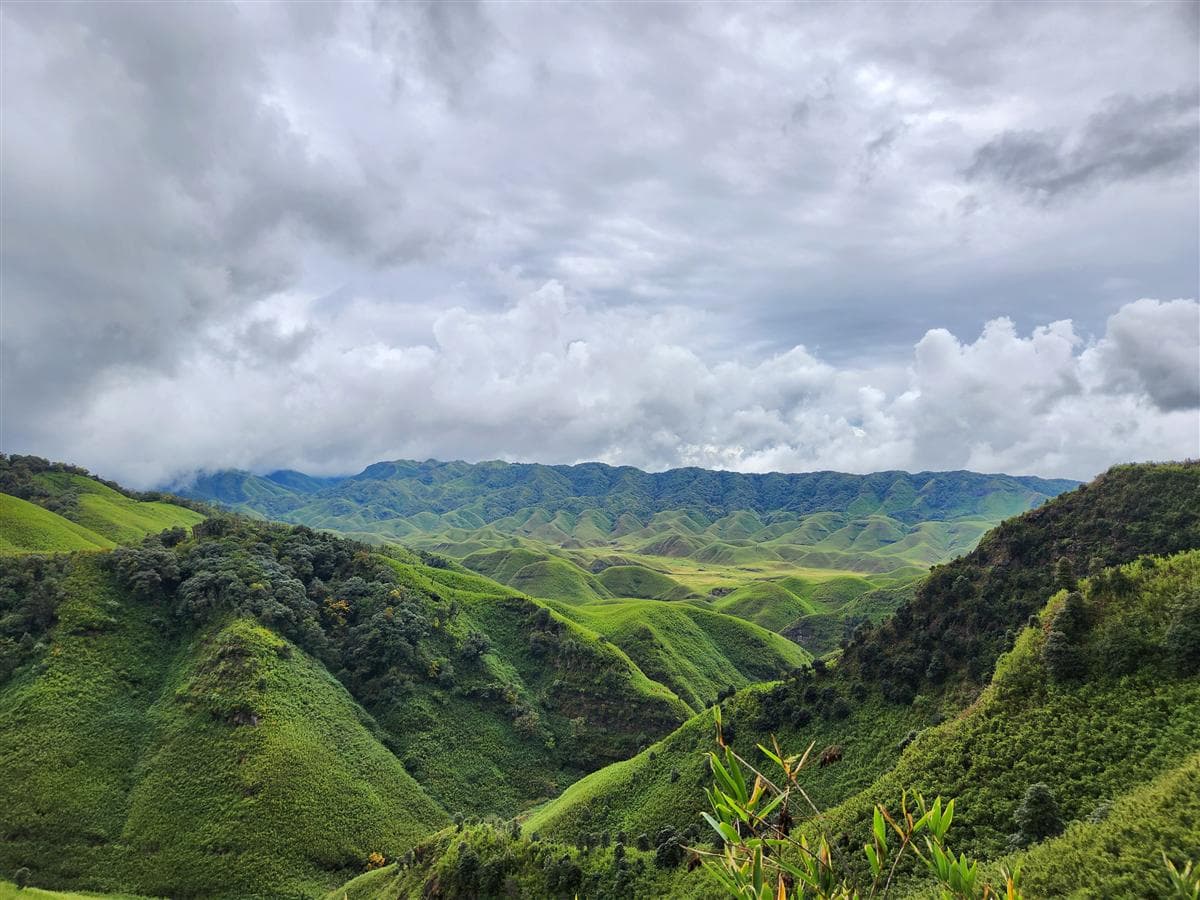Dzukou Valley, Nagaland: The Valley of Flowers of the Northeast