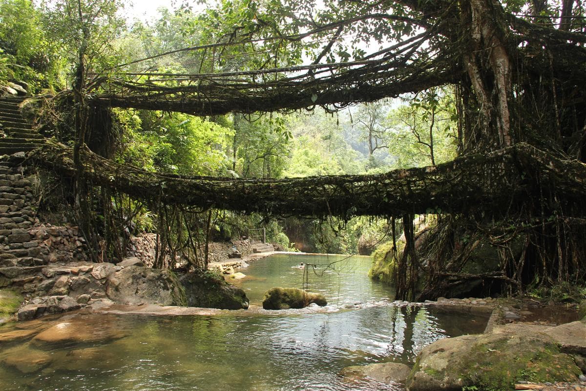 Cherrapunji & Meghalaya: Where the Clouds Live